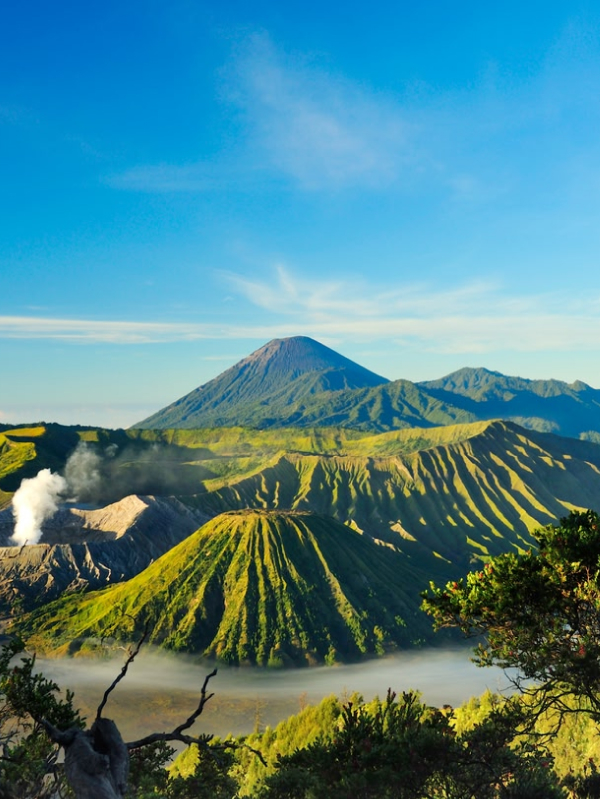 Mount Bromo golden sunrise and sea of sand