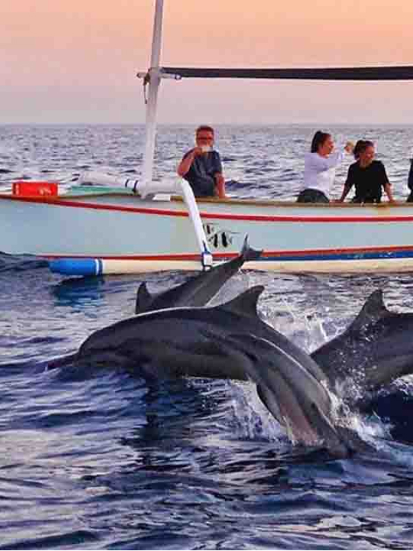 Lovina wild dolphin sunrise boat trip